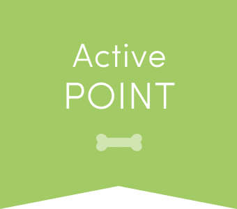 Active POINT