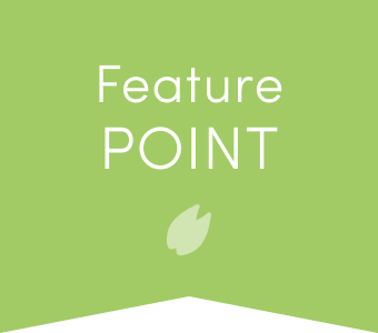feature point