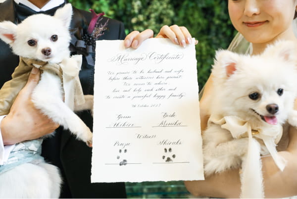 結婚証明書に肉球スタンプ
