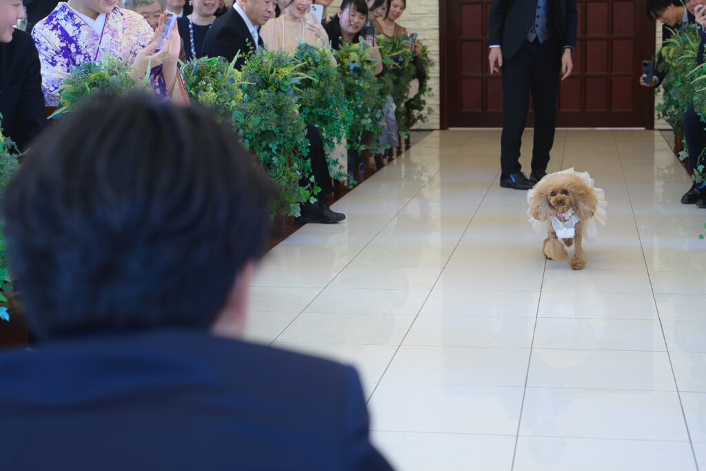 愛犬が指輪を運んで、誓いのキスにも参加🐾